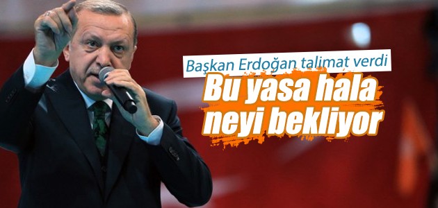 Erdoğandan hayvan hakları talimatı: Yasa hala neyi bekliyor, bir an önce çıkartın Erdoğandan hayvan hakları talimatı: Yasa hala neyi bekliyor, bir an önce çıkartın