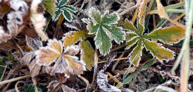  Kars ve Ardahan’da sıcaklıklar eksi 3 dereceye düştü 