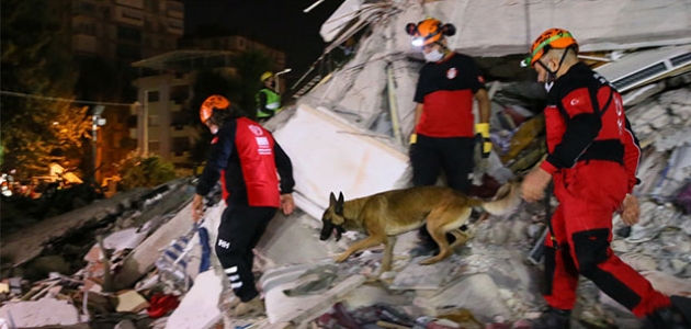   Hayat kurtaran köpekler, arama kurtarma ekiplerinin sağ kolu 