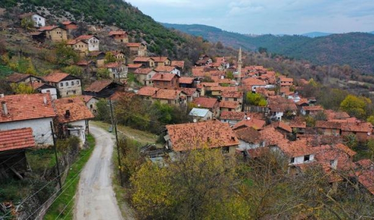 Türkiye’de bir ilk: Orman köyü şehir değiştirecek