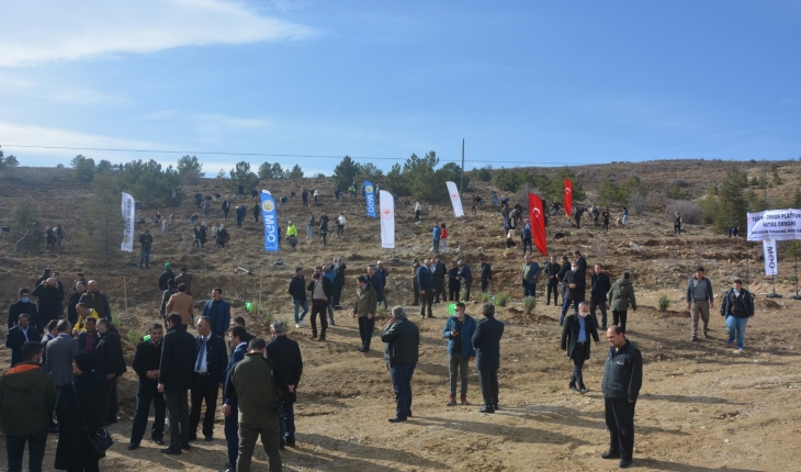 Konya’da 5 bin fidan daha toprakla buluştu