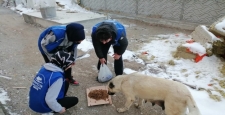 Karapınar'da sokak hayvanlarına yem verildi