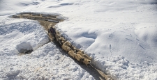 Kar kalınlığının 1,5 metreyi bulduğu Ovacık’ta besicilerin zorlu mesaisi