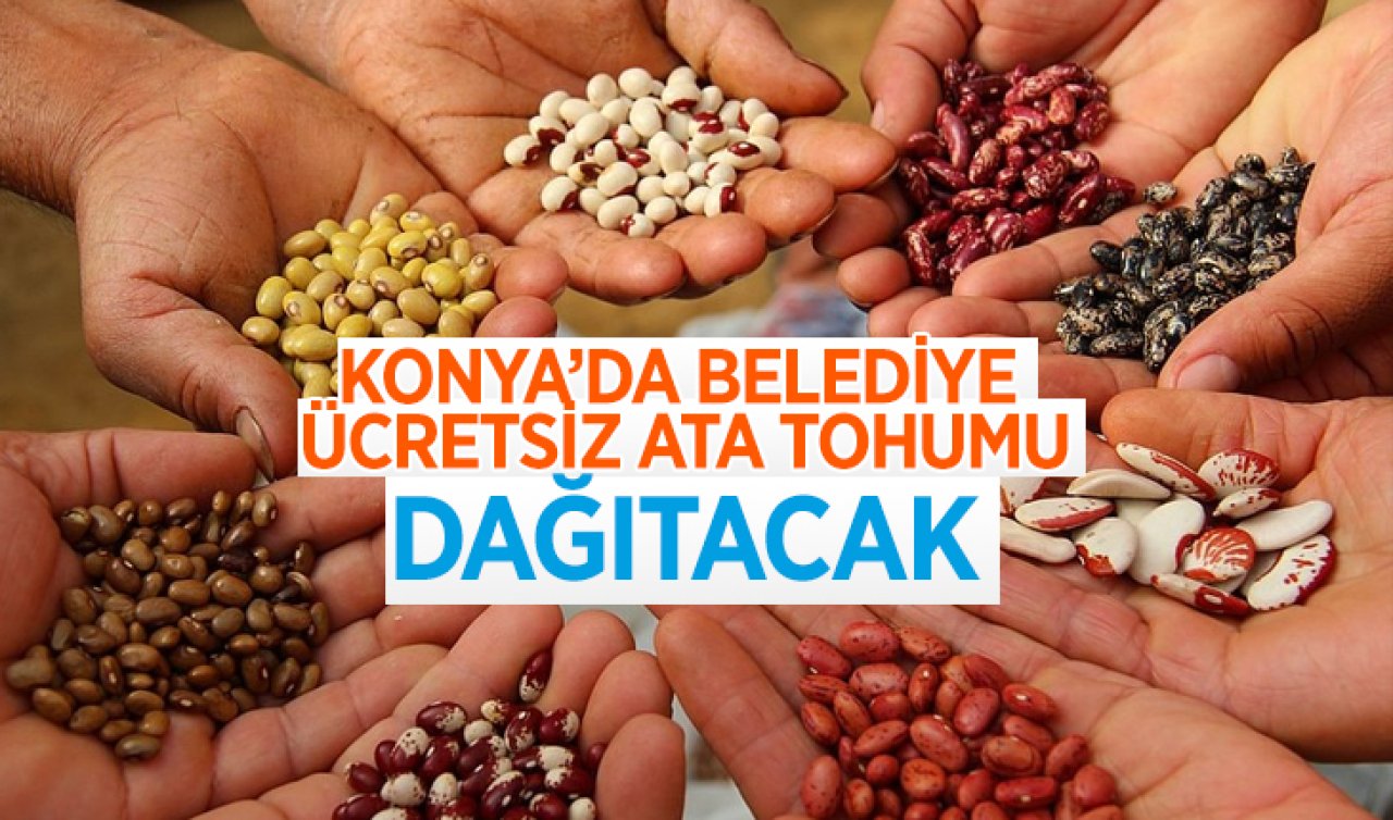 Konya’da belediye ücretsiz tohum dağıtacak! Başvuru yapmak çok kolay