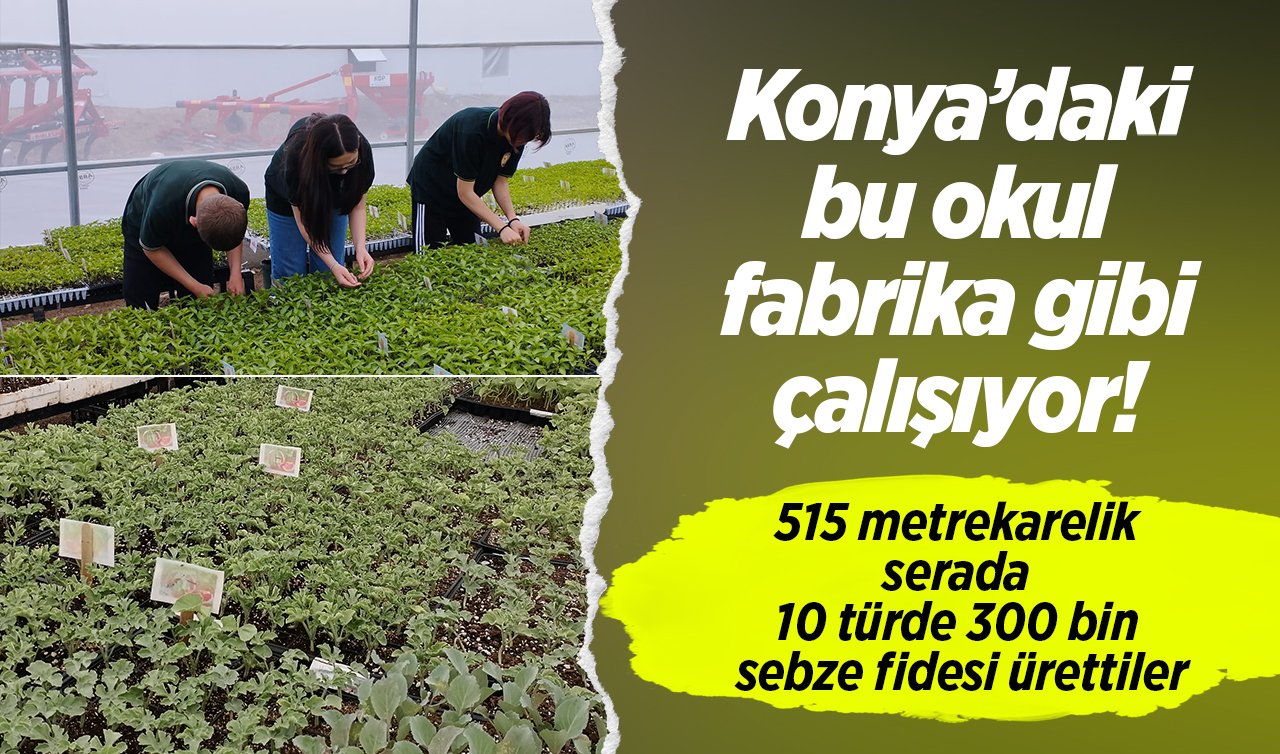 Konya’daki bu okul fabrika gibi çalışıyor! 515 metrekarelik serada 10 türde 300 bin sebze fidesi ürettiler