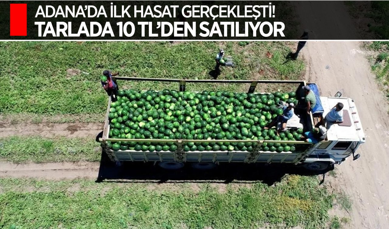 Adana’nın tescilli meyvesinde ilk hasat gerçekleşti! Tarlada 12 liradan satılıyor