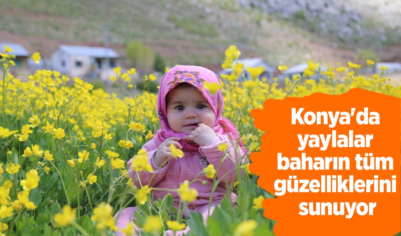 Konya’da yaylalar baharın tüm güzelliklerini sunuyor