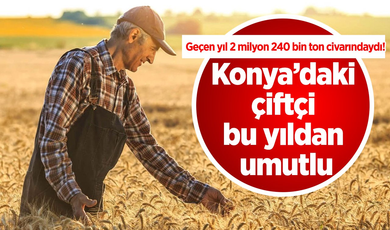1 haftada 30 kilogram yağış! Konya’daki çiftçi bu yıldan umutlu: Geçen yıl 2 milyon 240 bin ton civarındaydı!