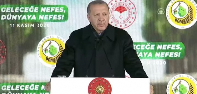 Erdoğan: Hedefimiz 2023 yılı sonuna kadar 7 milyar fidanın toprakla buluşmak 
