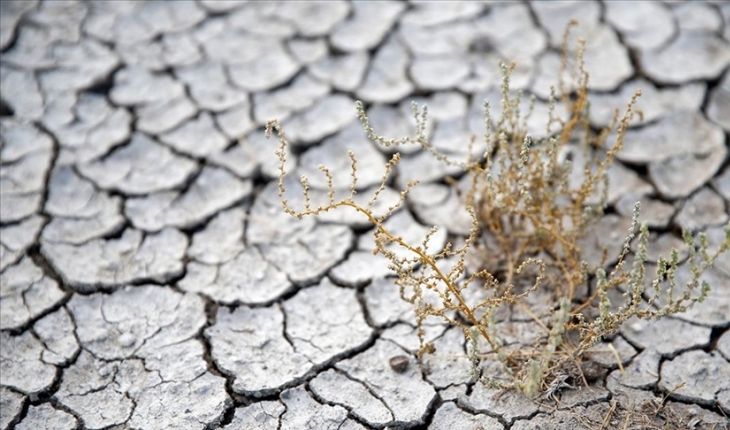 Erozyon ve kuraklıkla mücadelede ’dijital’ dönem
