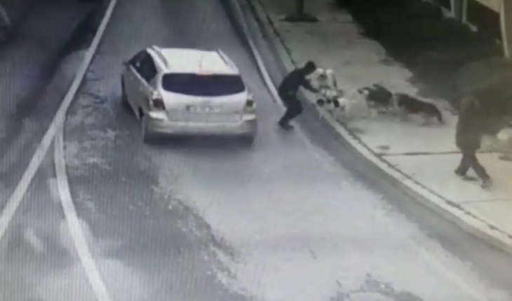 Yolda yürüyen adama sokak köpekleri saldırdı