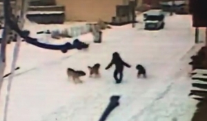 Kars’ta bir çocuk 7 köpeğin saldırısından cesaretiyle kurtuldu