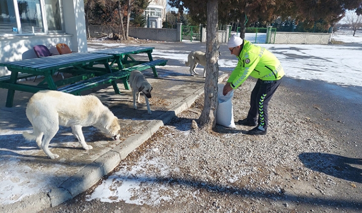 Konya polisi zorlu kış şartlarında aç kalan sokak hayvanlarını besledi