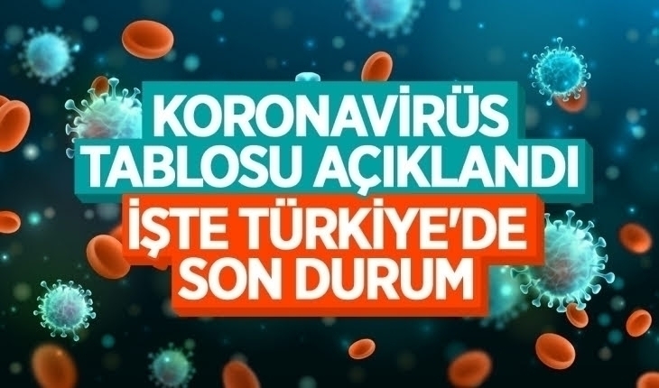 24 Ocak Koronavirüs Tablosu açıklandı