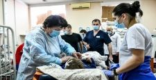 Ukrayna: Rusya'nın saldırılarında 161 çocuk öldü