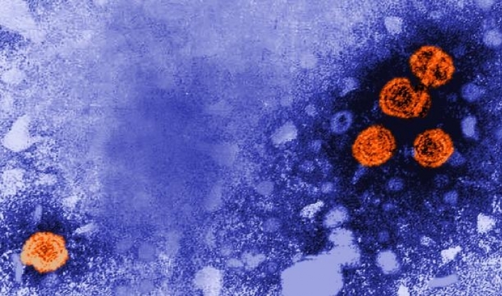 Gizemli hepatit can almayı sürdürüyor: 3 çocuk daha hayatını kaybetti