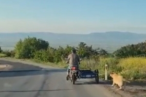 Köpeği motosikletin arkasına bağlayıp sürükledi !