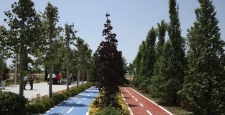 Atatürk Havalimanı Millet Bahçesi’ne 145 bin 300 ağaç dikilecek