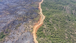 4 bin 500 hektar kül oldu