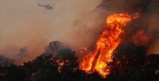 İtalya’da çıkan orman yangınları hayatı felç etti