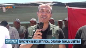 Türkiye’nin ilk sertifikalı organik tohum üretimi