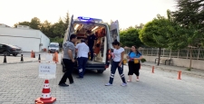 Konya'da trafik kazası: 1 yaralı