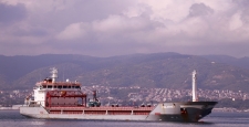 Mısır yüklü gemi 'Polarnet' Derince Limanı'na ulaştı