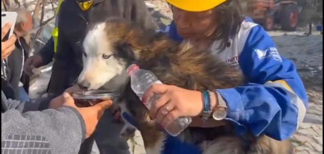 Alex 23 gün sonra enkazdan sağ çıkarıldı 