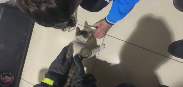 Depremzedelerin konakladığı yurtta kedi kurtarma operasyonu