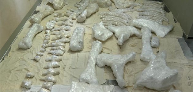 3 bin 500 yıllık Maraş Fili korumaya alındı