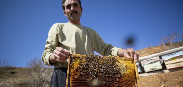 Kovanları zarar gören arıcılar üretime devam etmek istiyor