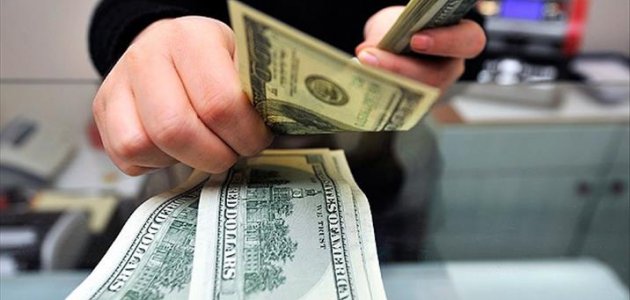 Serbest piyasada döviz açılış fiyatları