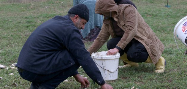 Depremzedeler tarladan balık topladı! 