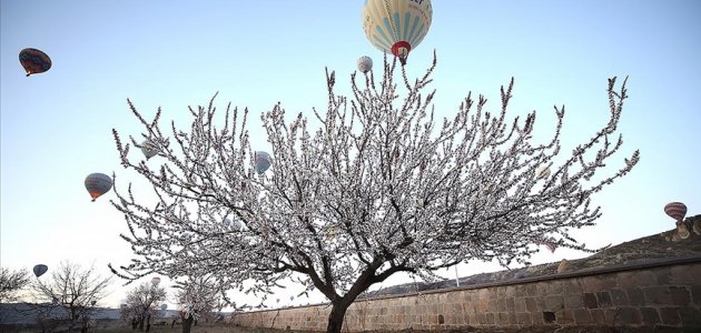 Kapadokya’da görsel şölen! Balonlar vadilerde uçtu