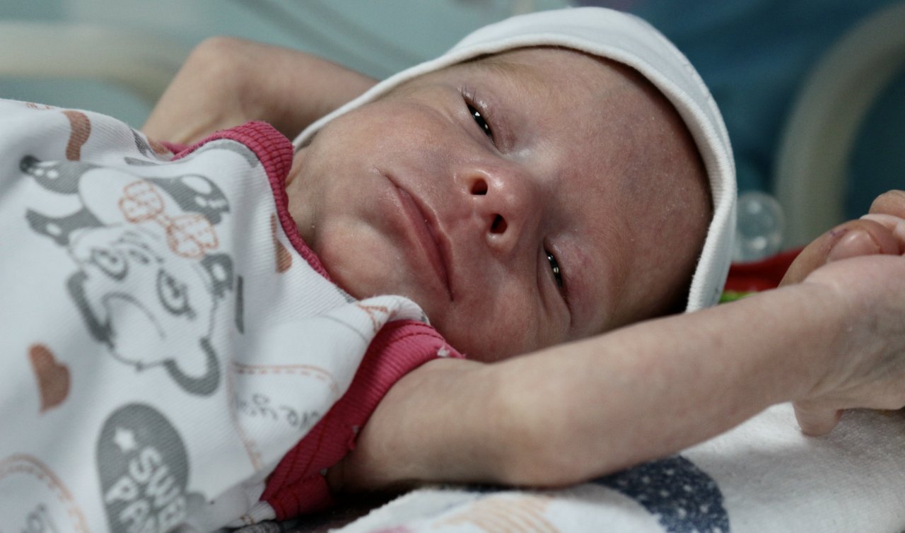 Atlas bebek hayata Konya’da tutundu 
