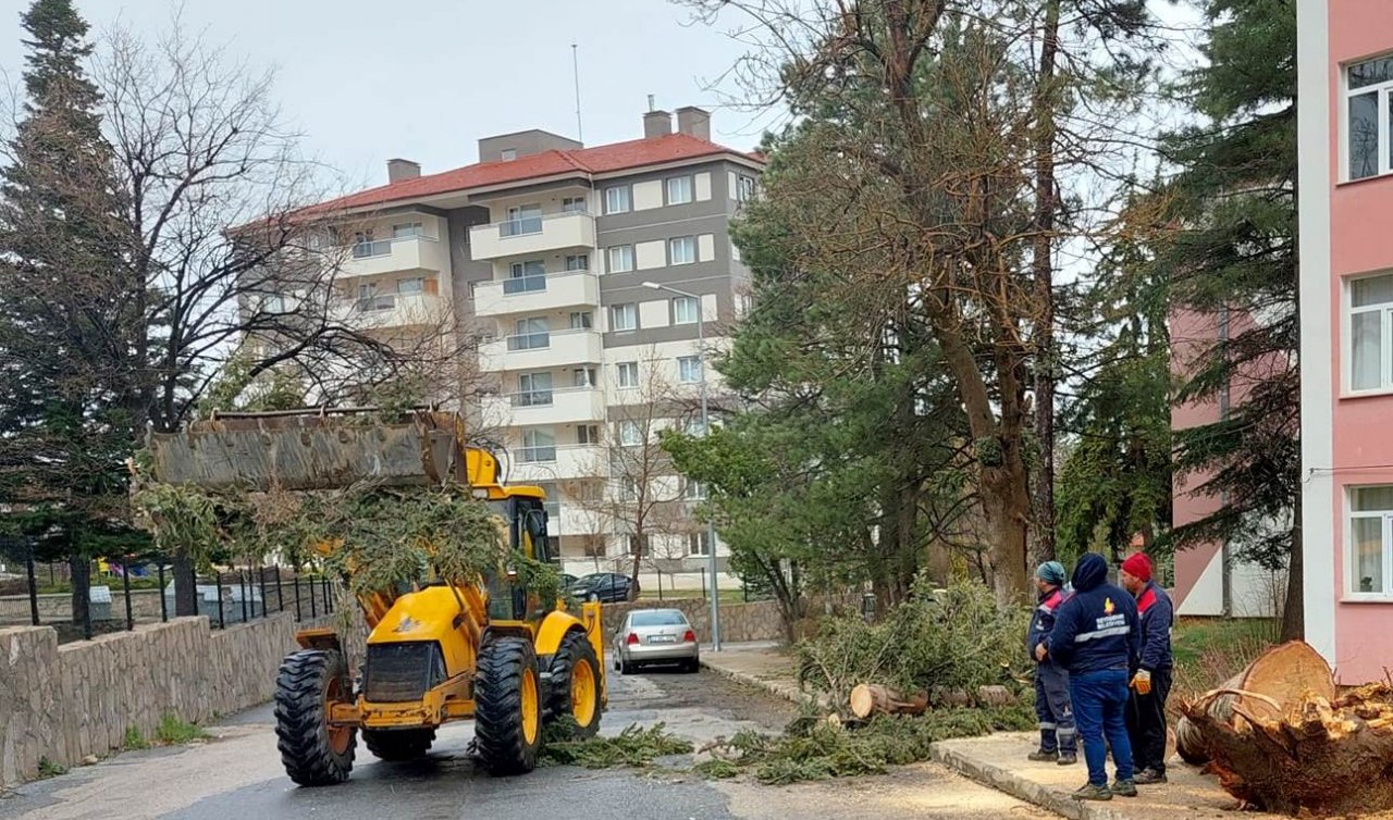 Konya’da şiddetli rüzgar ağacı kökünden söktü