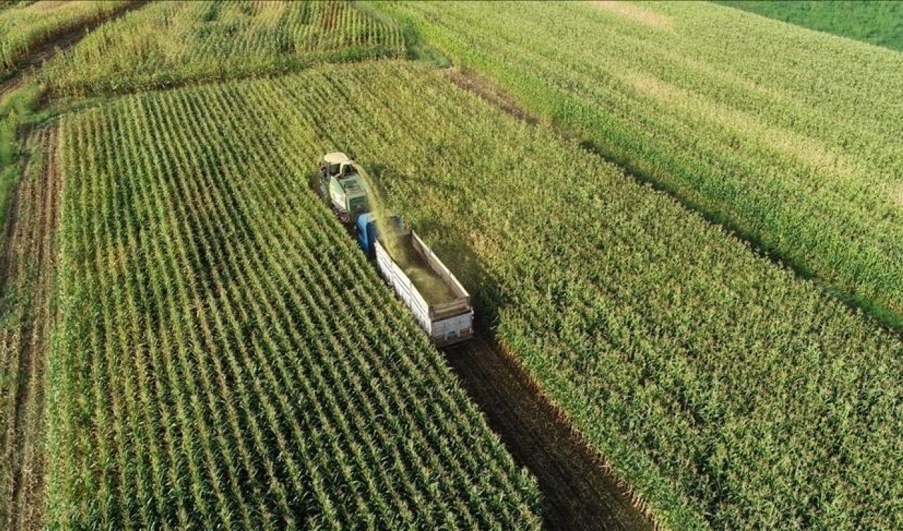 Çiftçilere 1,7 milyar liralık ödeme bugün yapılacak