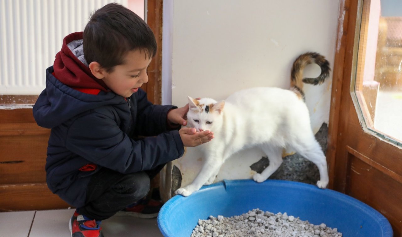 Depremzedeler kedilerine kavuştu