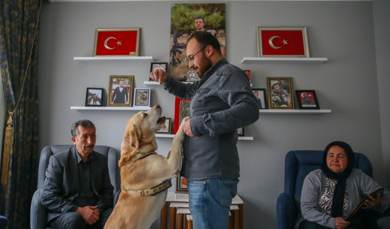  Şehidin emaneti “Atmaca’’ yuvaya döndü