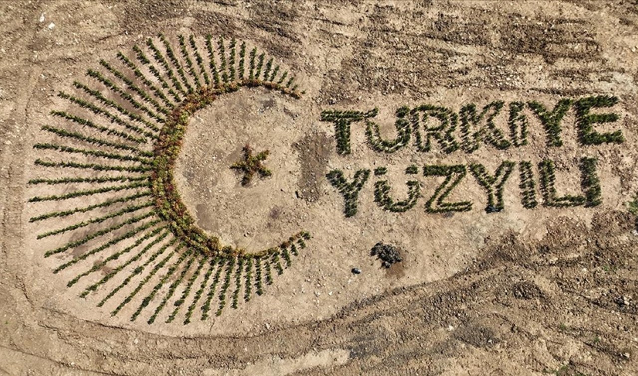 Mardin’de kurulan millet ormanının birinci etabı tamamlandı