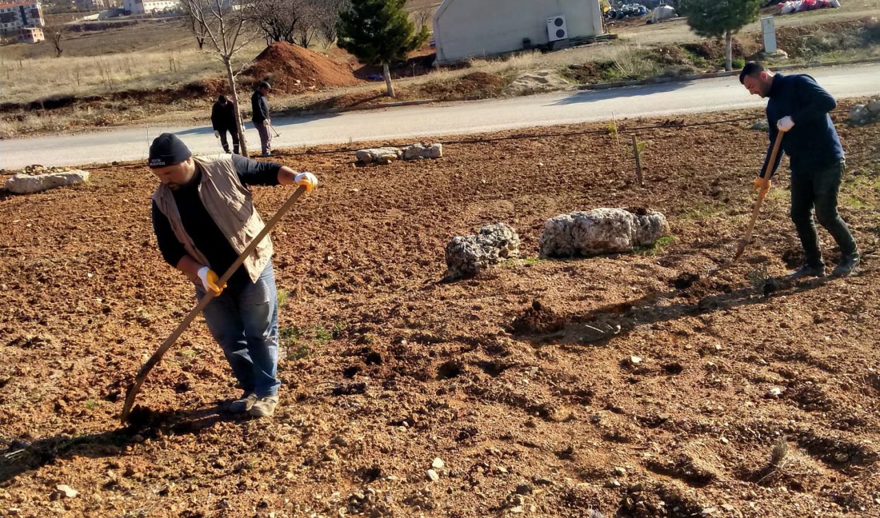 Hüyük’te lavantalar toprakla buluşuyor