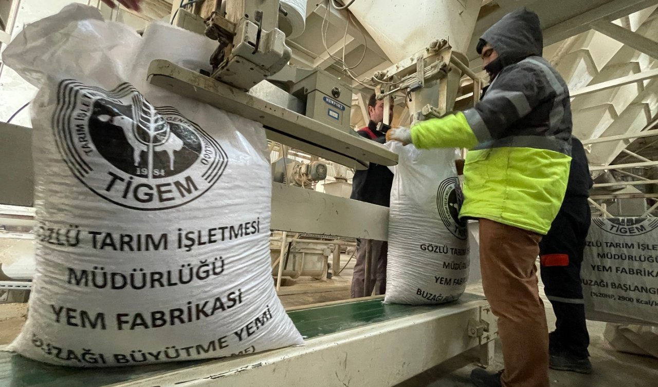 TİGEM’de yetiştirilen hayvanlar için yem Konya’da üretiliyor