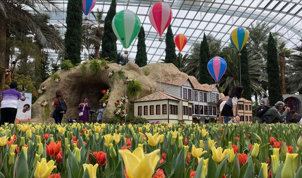 Singapur’da  “Tulipmania“ lale sergisi açıldı