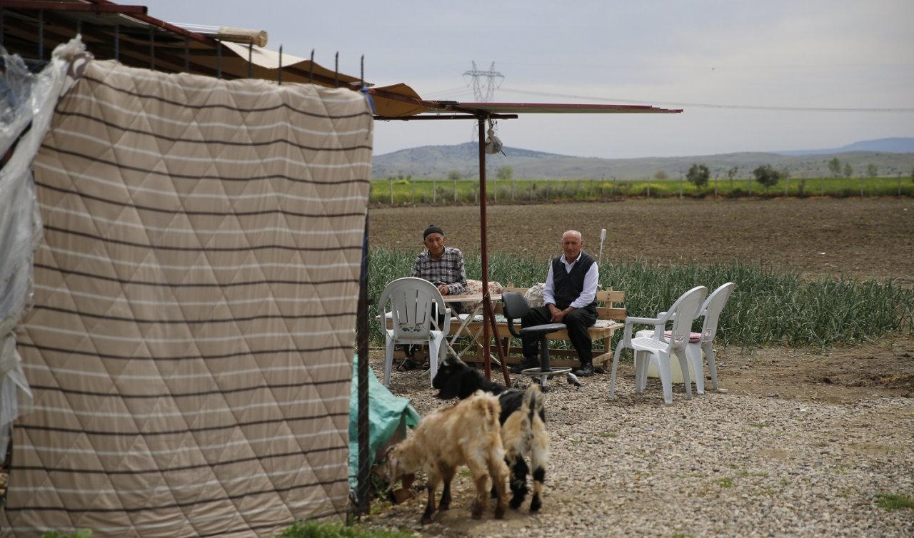 Depremzede aile gurbetçi tanıdıklarının tarlasını ekip üretime katılıyor