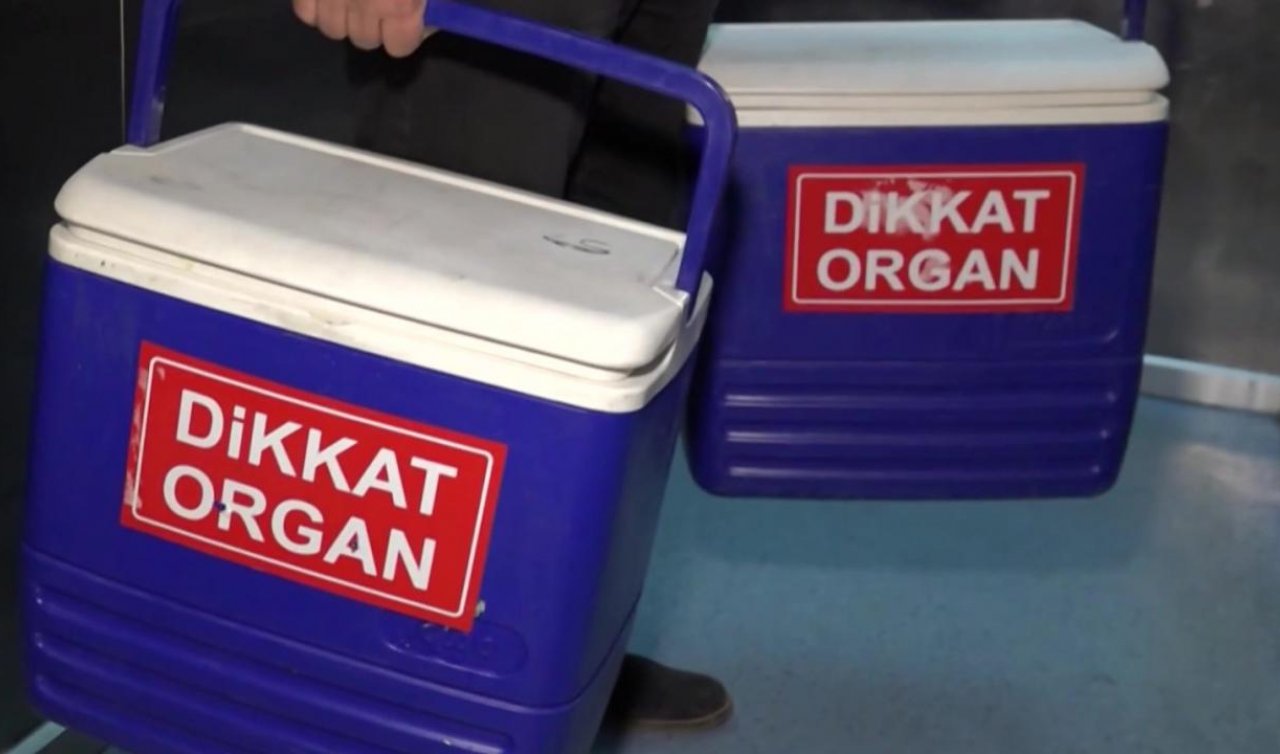 Beyin ölümü gerçekleşen hastanın organları 4 kişiye umut olacak