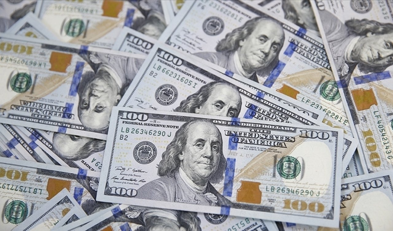 Net döviz pozisyonu açığı arttı! 86 milyar 798 milyon dolar oldu