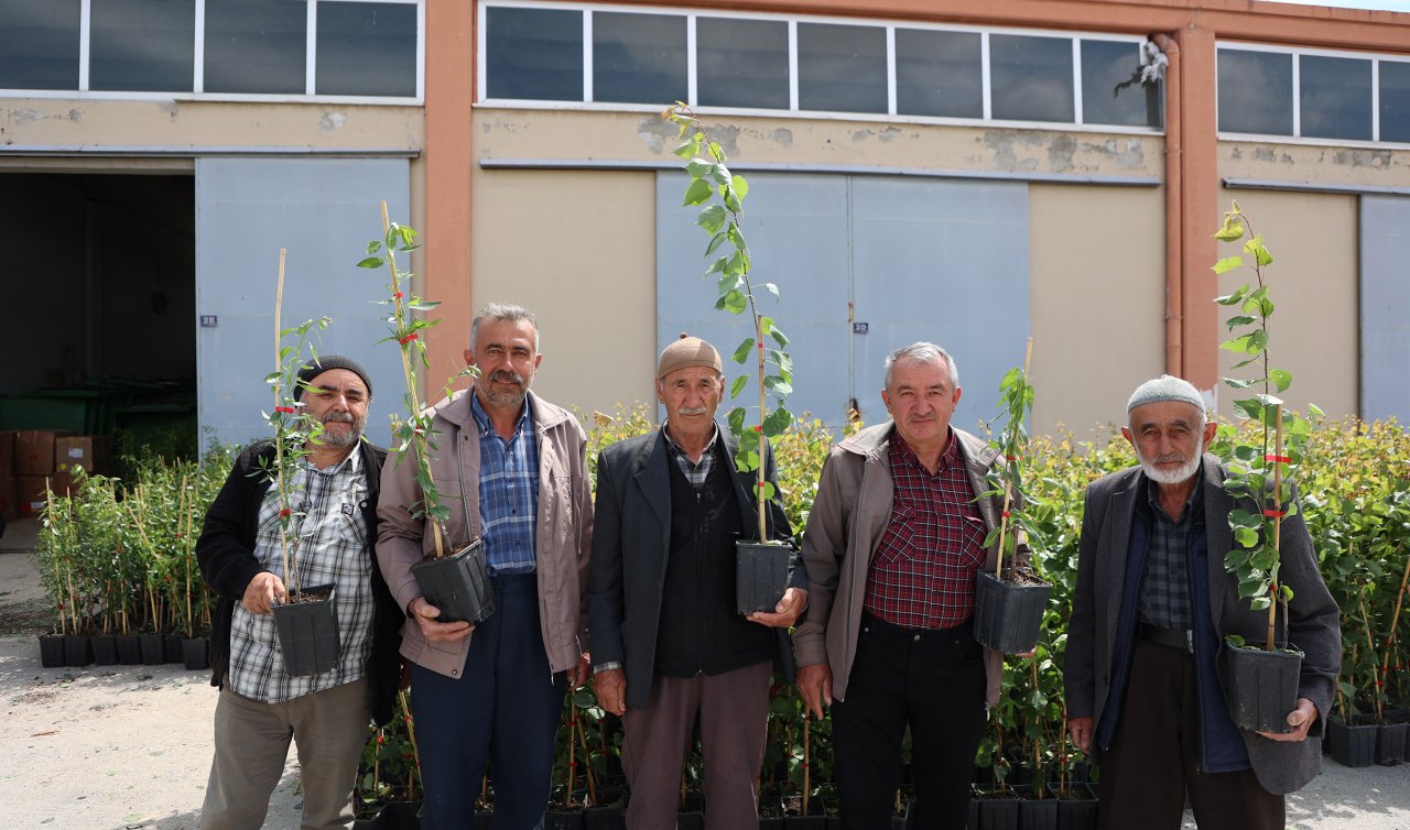 Konya çiftçiye destek oluyor! 226 bin fidan ve fide dağıtıldı  