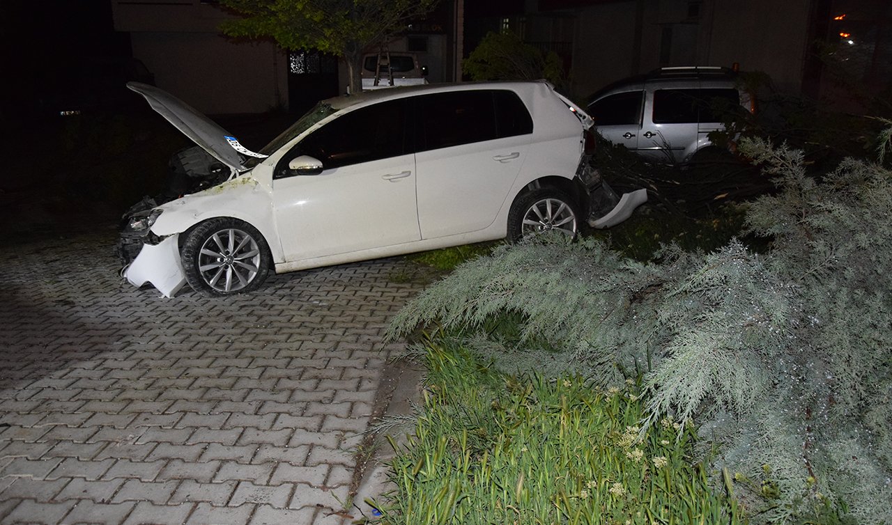Konya’da önce yayaya çarptı sonra ağaca çarparak durdu!