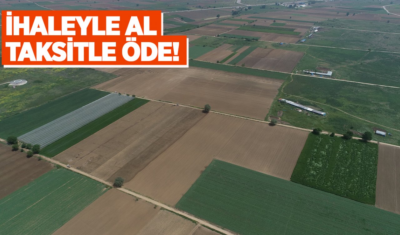 Uygun fiyatla arsa, tarla, bağ! Konya’da hazine arazileri satışa çıktı