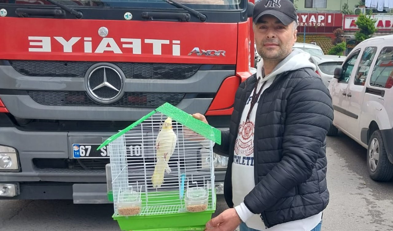 Evin penceresinden kaçan papağanı itfaiye yakaladı 